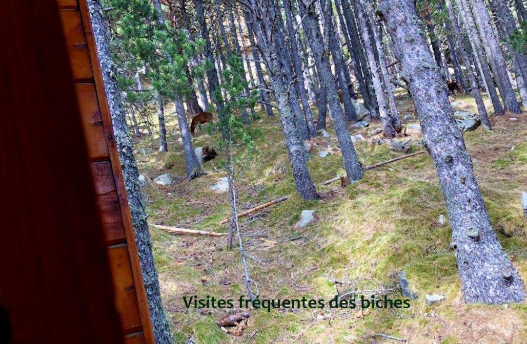 Chalet Vue Sous Cet Angles Exterior foto